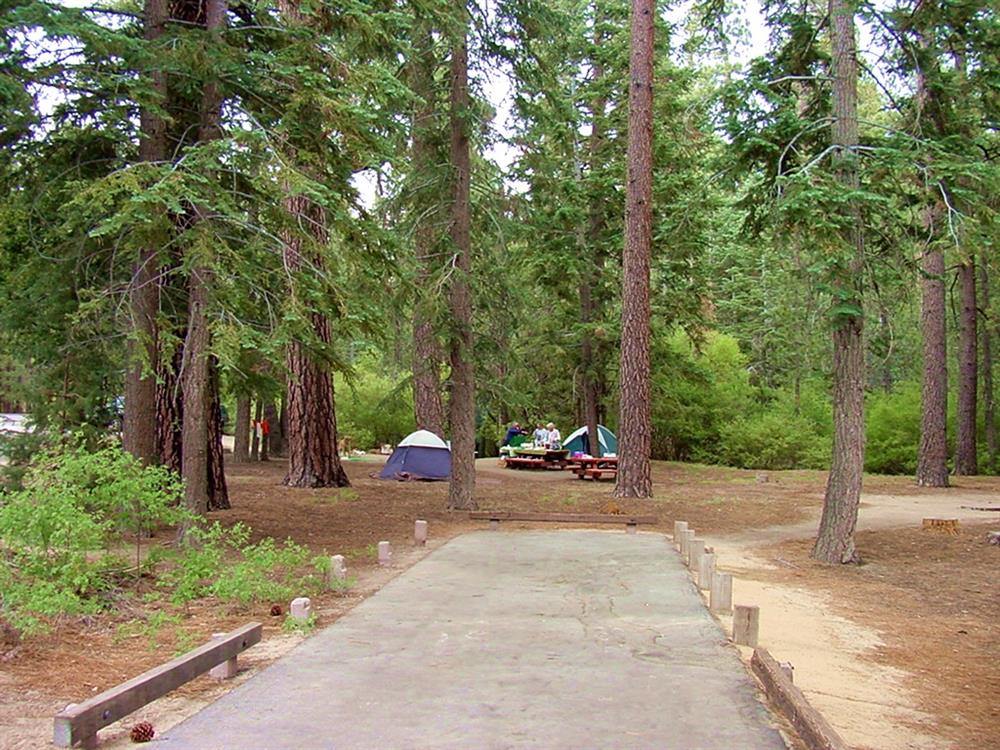 best-big-bear-camping-spots