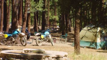 best-big-bear-camping-spots