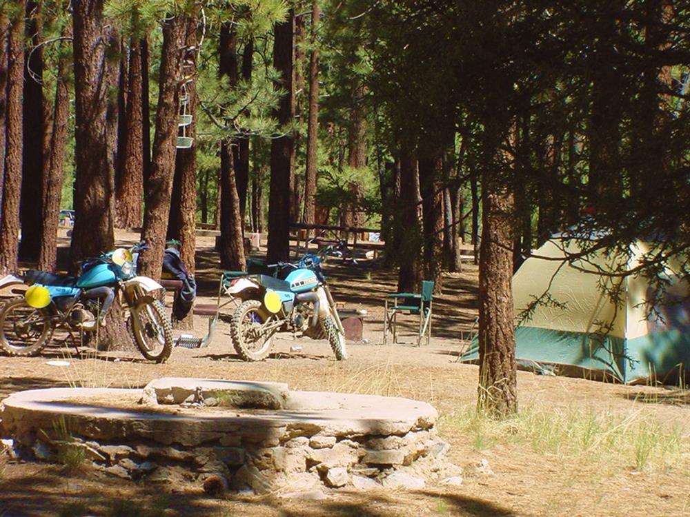 best-big-bear-camping-spots