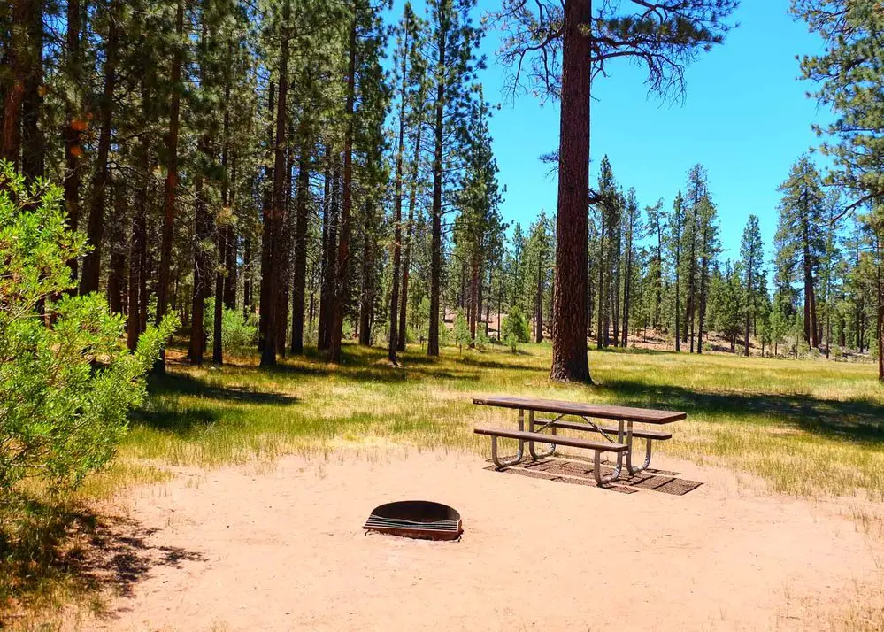 best-big-bear-camping-spots