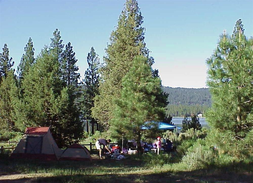 best-big-bear-camping-spots