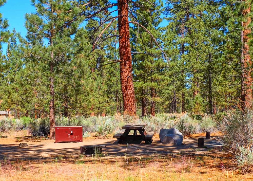 best-big-bear-camping-spots